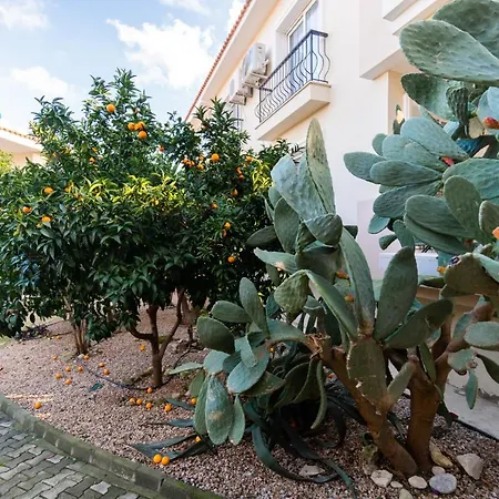 Appartement Luxury Three Bedrooms In Amazing Melisa's Place *